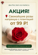 Спеццена на РОЗЫ от 99 рублей!