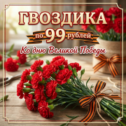 Гвоздики по 99 рублей!
