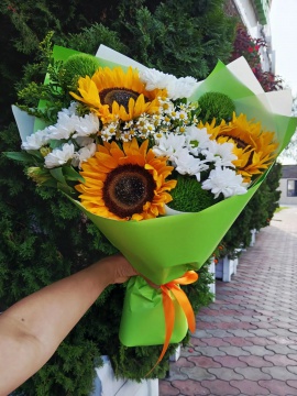 Утреннее солнце