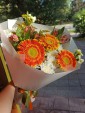 Яркие моменты